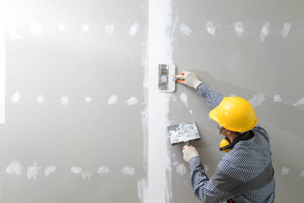 Best Comprehensive Air Testing for Mold Contaminants  in Lyons, WI