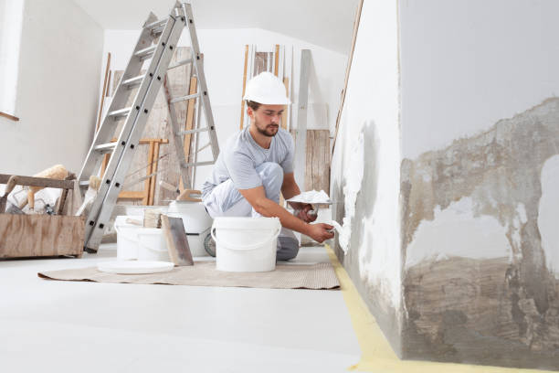 Best Basement Mold Removal  in Lyons, WI