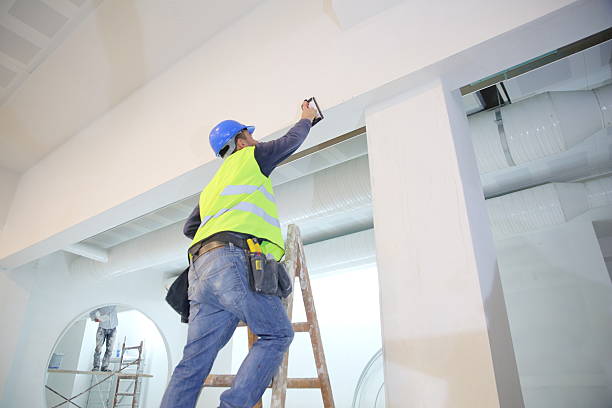 Best Commercial Mold Inspection  in Lyons, WI