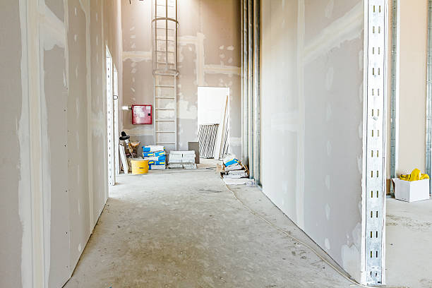 Best Mold Removal for HVAC Installations  in Lyons, WI