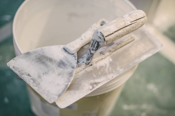 Best Mold Odor Removal Services  in Lyons, WI